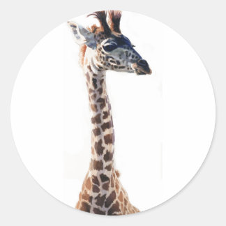 "Little Giraffe" Waterverf in het wild levende die Ronde Sticker
