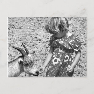 Little Girl Feeding a Goat Sunflower Seeds 1971 Briefkaart