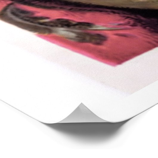 Little Girl, Kittens en Dachshund Dog,  Poster (Hoek)