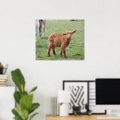 Little Goat ~ Zicklein ~ kleine Ziege Poster (Thuiskantoor)
