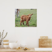 Little Goat ~ Zicklein ~ kleine Ziege Poster (Keuken)