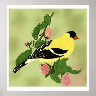  Little Goldfinch Bird Poster