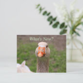 Little Goose Briefkaart (Staand voorkant)
