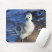 Little Gosling Mousepad Muismat (Met muis)