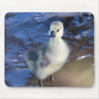 Little Gosling Mousepad Muismat