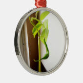 Little Green Bean Pod Metalen Ornament (Rechts)