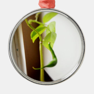 Little Green Bean Pod Metalen Ornament