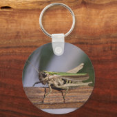 Little Green Grasshopping Keyring Sleutelhanger (Voorkant)