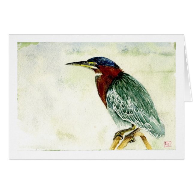 Little Green Heron (Voorkant Horizontaal)