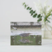 Little Green Heron Briefkaart (Staand voorkant)