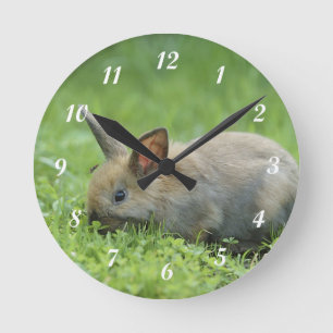Little Grey Bunny Ronde Klok