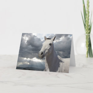 Little Grey Pony met grote ogen - Blank Kaart