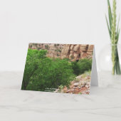  Little Grey Pony met grote ogen - Blank Kaart (Achterkant)