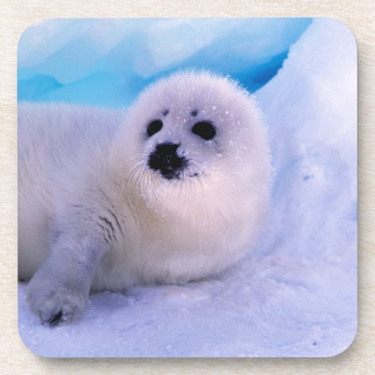 Little Harp Seal Pup bekleed in Snowflakes Bier Onderzetter (Voorkant)
