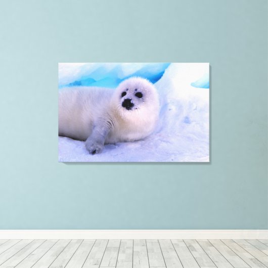 Little Harp Seal Pup bekleed in Snowflakes Canvas Afdruk (Insitu (Houten vloer))