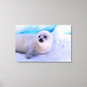 Little Harp Seal Pup bekleed in Snowflakes Canvas Afdruk (Voorkant)