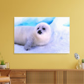 Little Harp Seal Pup bekleed in Snowflakes Canvas Afdruk (Insitu (Woonkamer))