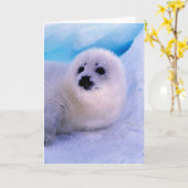 Little Harp Seal Pup bekleed in Snowflakes Kaart (Gele Bloem)