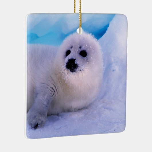 Little Harp Seal Pup bekleed in Snowflakes Keramisch Ornament (Rechts)