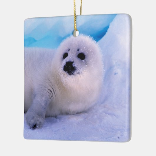 Little Harp Seal Pup bekleed in Snowflakes Keramisch Ornament (Links)