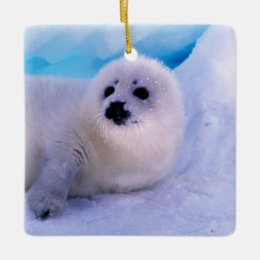 Little Harp Seal Pup bekleed in Snowflakes Keramisch Ornament (Voorkant)