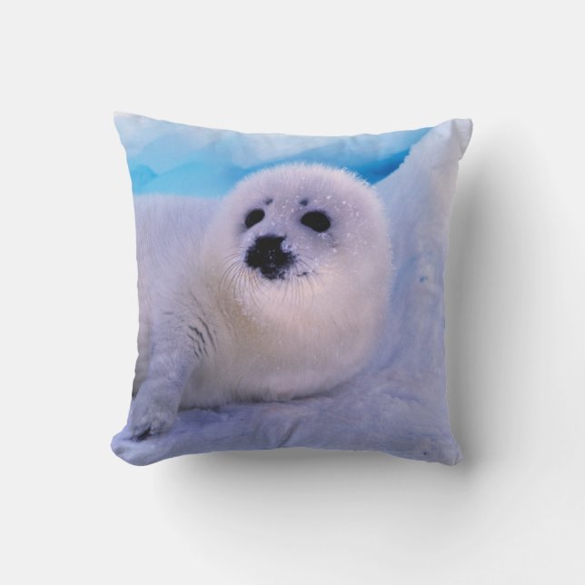 Little Harp Seal Pup bekleed in Snowflakes Kussen (Voorkant)