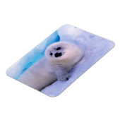 Little Harp Seal Pup bekleed in Snowflakes Magneet (Linkerzijde)