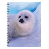 Little Harp Seal Pup bekleed in Snowflakes Notitieboek (Voorkant)