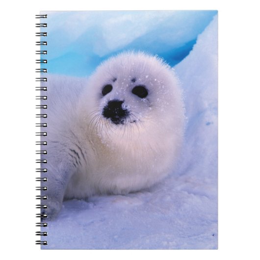 Little Harp Seal Pup bekleed in Snowflakes Notitieboek (Voorkant)