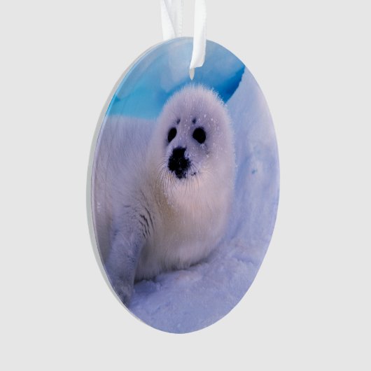 Little Harp Seal Pup bekleed in Snowflakes Ornament (voorkant)