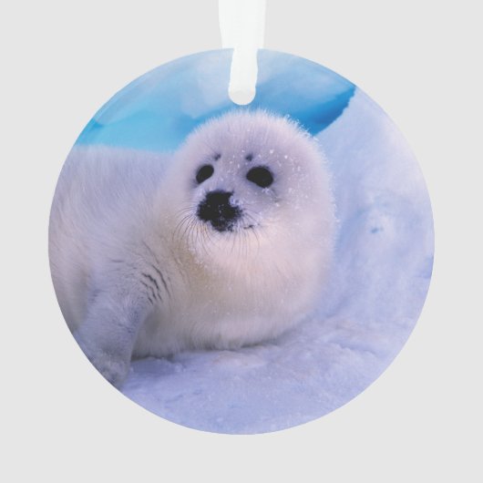 Little Harp Seal Pup bekleed in Snowflakes Ornament (achterkant)