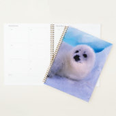 Little Harp Seal Pup bekleed in Snowflakes Planner (Display)