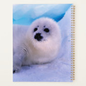 Little Harp Seal Pup bekleed in Snowflakes Planner (Achterkant)