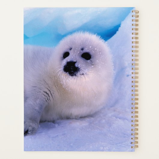 Little Harp Seal Pup bekleed in Snowflakes Planner (Achterkant)