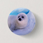 Little Harp Seal Pup bekleed in Snowflakes Ronde Button 3,2 Cm (Voorkant)