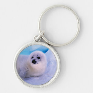 Little Harp Seal Pup bekleed in Snowflakes Sleutelhanger