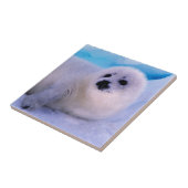 Little Harp Seal Pup bekleed in Snowflakes Tegeltje (Zijkant)