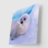 Little Harp Seal Pup bekleed in Snowflakes Vierkante Klok (Hoek)