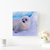 Little Harp Seal Pup bekleed in Snowflakes Vierkante Klok (Huis)