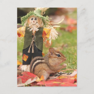 Little Harvest Chipmunk Briefkaart