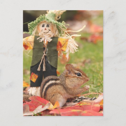 Little Harvest Chipmunk Briefkaart (Voorkant)