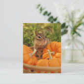 Little Harvest Chipmunk Briefkaart (Staand voorkant)
