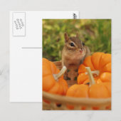 Little Harvest Chipmunk Briefkaart (Voorkant / Achterkant)