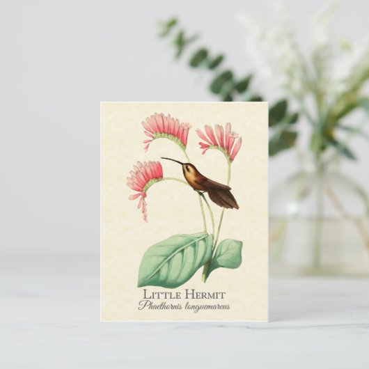 Little Hermit Hummingbird Art Briefkaart (Staand voorkant)