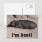 Little Hippo vertelt alles Briefkaart (Voorkant / Achterkant)
