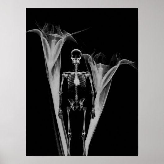Little Human X-Ray Skeleton & Flowers - B&W Poster (Voorkant)