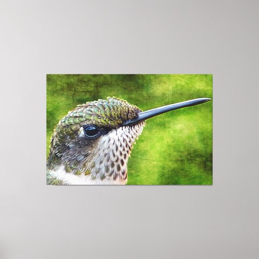 Little Hummer Canvas Afdruk (Voorkant)