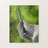 Little Hummer Legpuzzel (Verticaal)