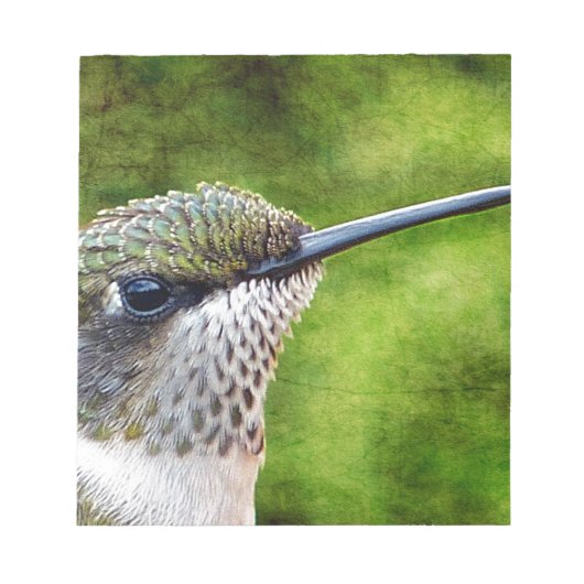 Little Hummer Notitieblok (Voorkant)