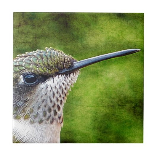 Little Hummer Tegeltje (Voorkant)